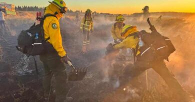 Continúan brigadistas mexicanos combatiendo incendios forestales en Chile