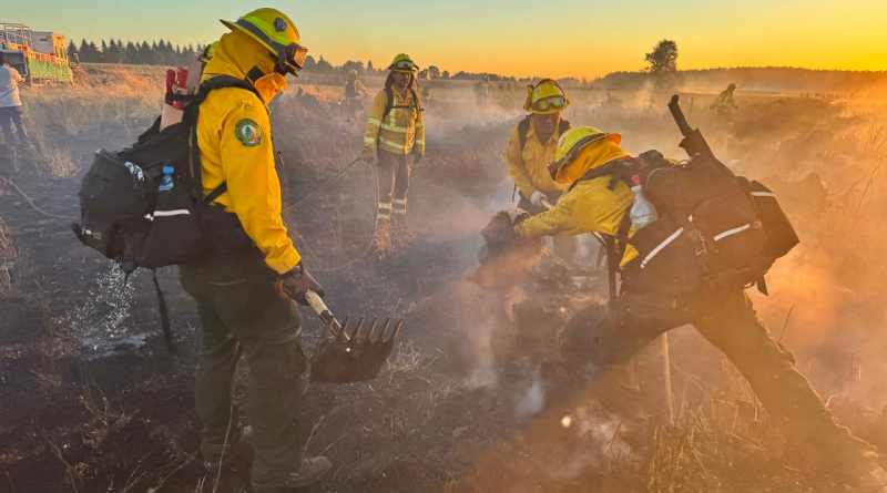 Continúan brigadistas mexicanos combatiendo incendios forestales en Chile