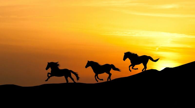 Año del Caballo 2026: El PNUMA revela 4 lecciones de los equinos para salvar el planeta Año del Caballo 2026: El PNUMA revela 4 lecciones de los equinos para salvar el planeta