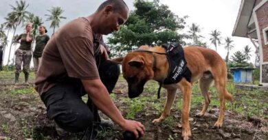 Refuerzan brigada canina para proteger al rinoceronte de Java en Indonesia