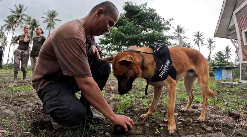 Refuerzan brigada canina para proteger al rinoceronte de Java en Indonesia