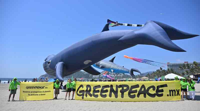Eleva Greenpeace conciencia sobre protección de los océanos Eleva Greenpeace conciencia sobre protección de los océanos