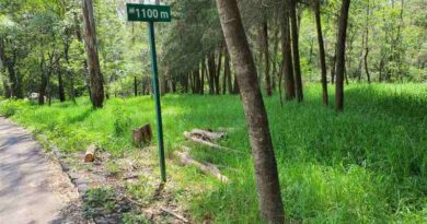 Firman CDMX y Sonora convenio para la gestión de bosques urbanos