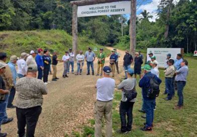 Fortalecen alianza Belice, Guatemala y México para proteger la Gran Selva Maya Fortalecen alianza Belice, Guatemala y México para proteger la Gran Selva Maya