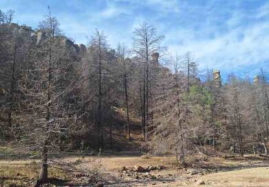 Cierra Conanp Parque Nacional Cumbres de Majalca por riesgo de incendios Cierra Conanp Parque Nacional Cumbres de Majalca por riesgo de incendios