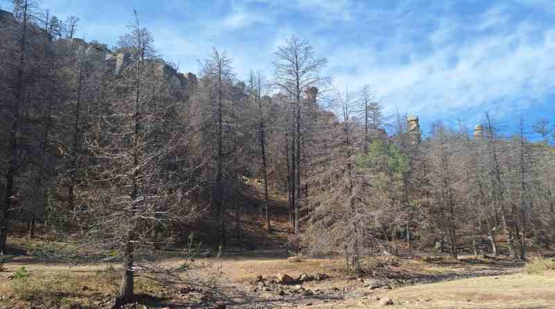 Parque Nacional Cumbres de Majalca
