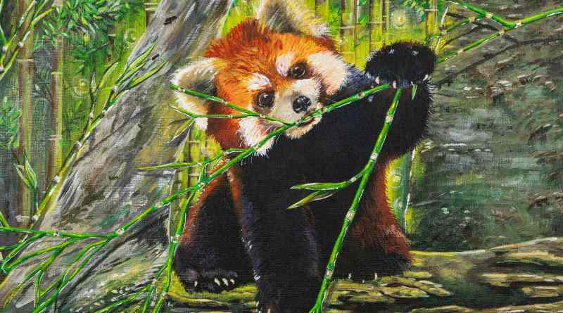 Premian talento artísitico juvenil en el Día Mundial de la Vida Silvestre 2026 Premian talento artísitico juvenil en el Día Mundial de la Vida Silvestre 2026