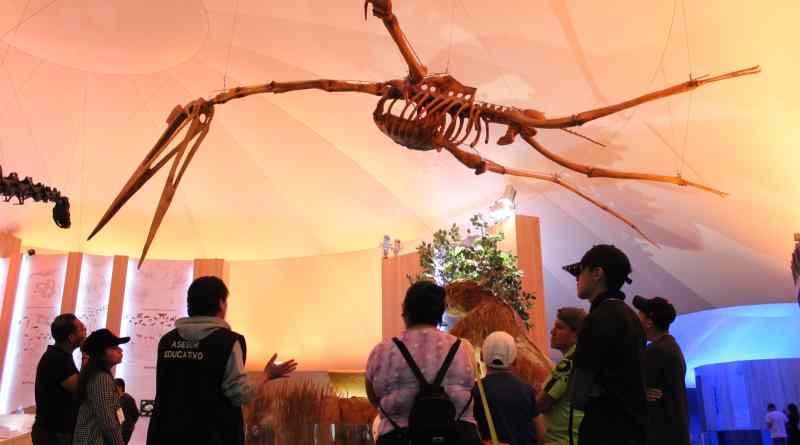 Promueve SEDEMA educación ambiental en el Museo de Historia Natural