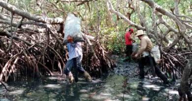 Alcanza derrame de hidrocarburos 630 kilómetros en el Golfo de México