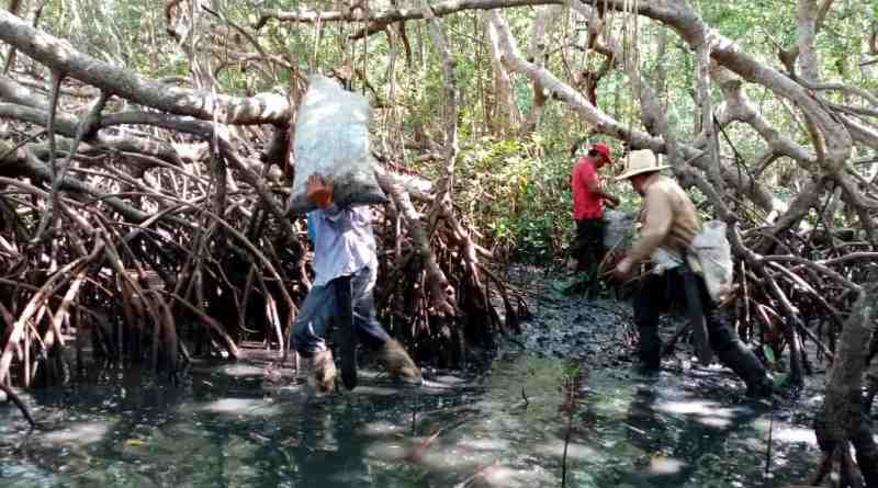 Alcanza derrame de hidrocarburos 630 kilómetros del Corredor Arrecifal del Golfo de México
