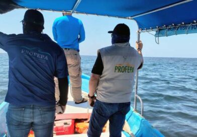 Ejecutan Profepa y Conanp operativo en 41 Áreas Naturales Protegidas