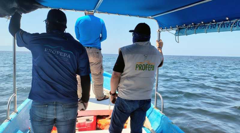 Ejecutan Profepa y Conanp operativo en 41 Áreas Naturales Protegidas