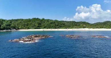 Denuncia Conanp actividades ilegales y tala en Parque Nacional Huatulco