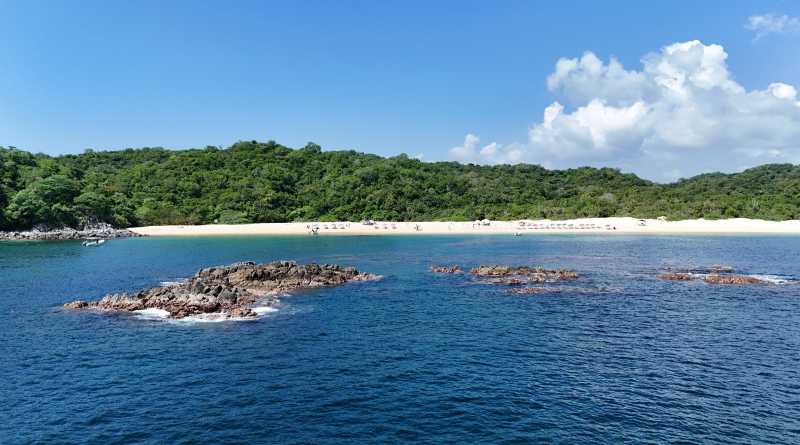 Denuncia Conanp actividades ilegales y tala en Parque Nacional Huatulco