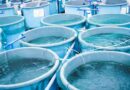 TECA impulsa 10 proyectos de innovación climática en ecosistemas marino-costeros 
