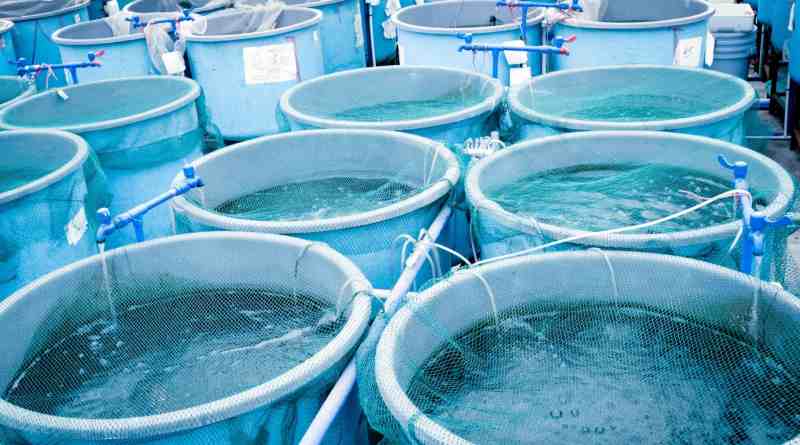 TECA impulsa 10 proyectos de innovación climática en ecosistemas marino-costeros