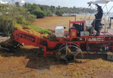 Recolecta Marina más de 39 mil toneladas de sargazo en costas de Quintana Roo Recolecta Marina más de 39 mil toneladas de sargazo en costas de Quintana Roo