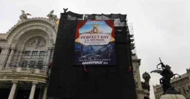 Denuncia Greenpeace por megaproyecto turístico en la Selva Maya