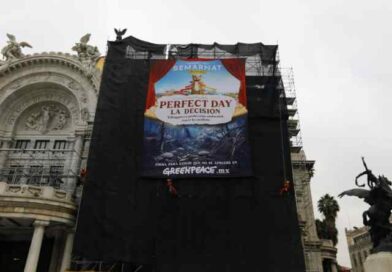 Denuncia Greenpeace por megaproyecto turístico en la Selva Maya