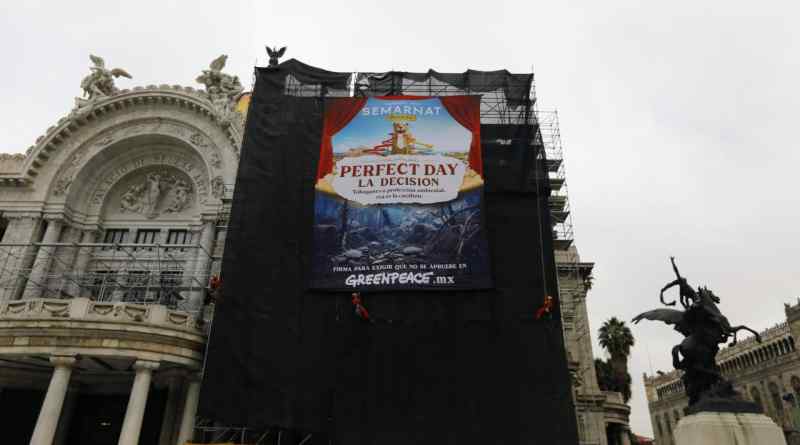 Denuncia Greenpeace por megaproyecto turístico en la Selva Maya