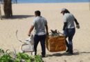 Semarnat y Coca-Cola FEMSA unidos por la limpieza de playas en México