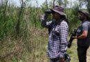 Rompe CDMX récords Reto Naturalista Urbano 2026 y lidera la biodiversidad nacional