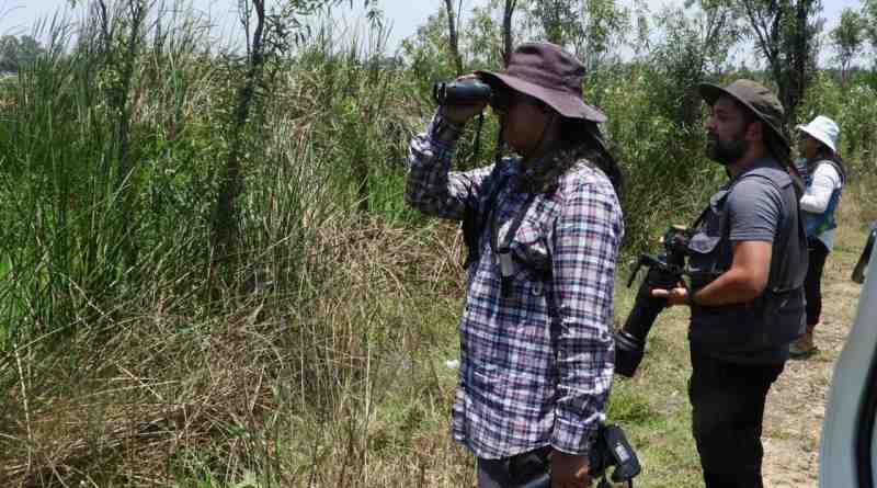 Rompe CDMX récords Reto Naturalista Urbano 2026 y lidera la biodiversidad nacional