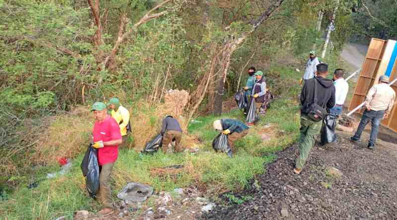 Impone Profepa clausura en predio por cambio de uso de suelo en la Sierra Gorda