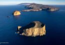 Impulsa GECI gestión circular de residuos y restauración ambiental en Isla Guadalupe