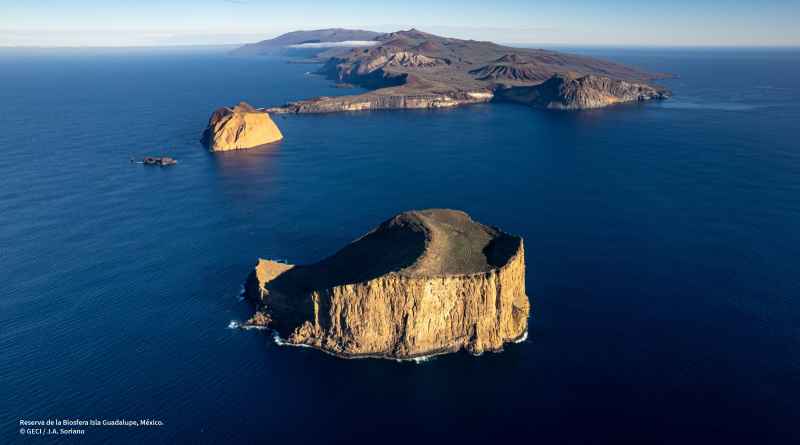 Impulsa GECI gestión circular de residuos y restauración ambiental en Isla Guadalupe Impulsa GECI gestión circular de residuos y restauración ambiental en Isla Guadalupe