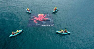 Exige Greenpeace frenar la minería submarina en el Pacífico Exige Greenpeace frenar la minería submarina en el Pacífico