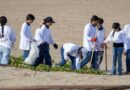 Limpieza de playas. Retiran más de seis toneladas de residuos Limpieza de playas. Retiran más de seis toneladas de residuos