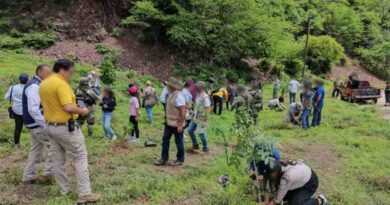 Siembra Profepa casi 35 mil árboles en reforestación para restaurar ecosistemas 