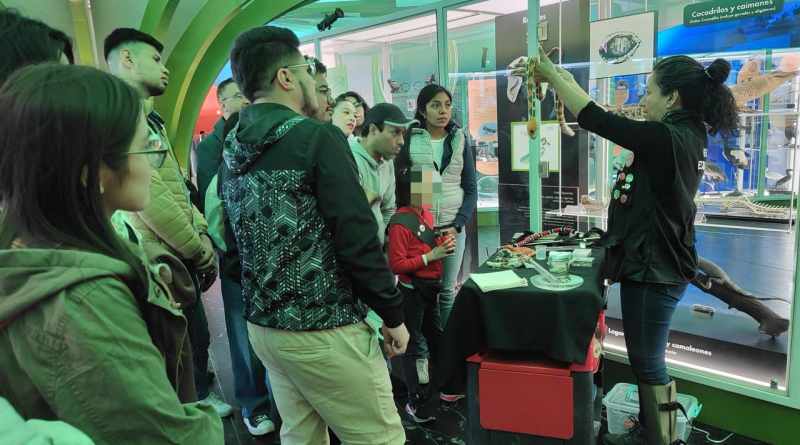Impulsan actividades culturales y ambientales por las vacaciones de verano en CDMX Impulsan actividades culturales y ambientales por las vacaciones de verano en CDMX