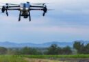 Despliegan drones agrícolas para fumigar 60 hectáreas de caña de azúcar en Puebla