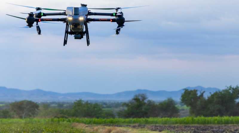 Despliegan drones agrícolas para fumigar 60 hectáreas de caña de azúcar en Puebla