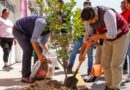 Reducirá Nezahualcóyotl temperatura urbana con la plantación de ocho mil árboles