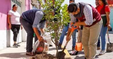 Reducirá Nezahualcóyotl temperatura urbana con la plantación de ocho mil árboles