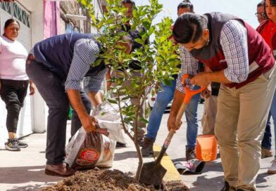 Reducirá Nezahualcóyotl temperatura urbana con la plantación de ocho mil árboles