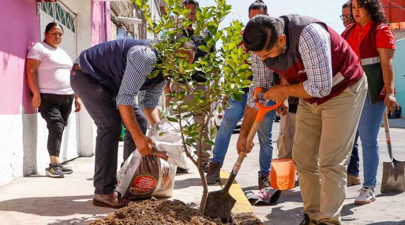 Reducirá Nezahualcóyotl temperatura urbana con la plantación de ocho mil árboles