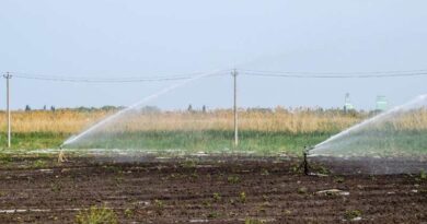 Tecnifica Conagua el campo de Morelos para optimizar recursos hídricos