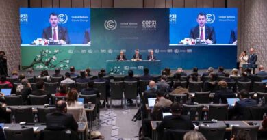 COP31 define 12 días temáticos para impulsar los compromisos climáticos