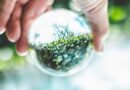 Alertan científicos sobre vacíos en Reglamento de Ley General de Economía Circular