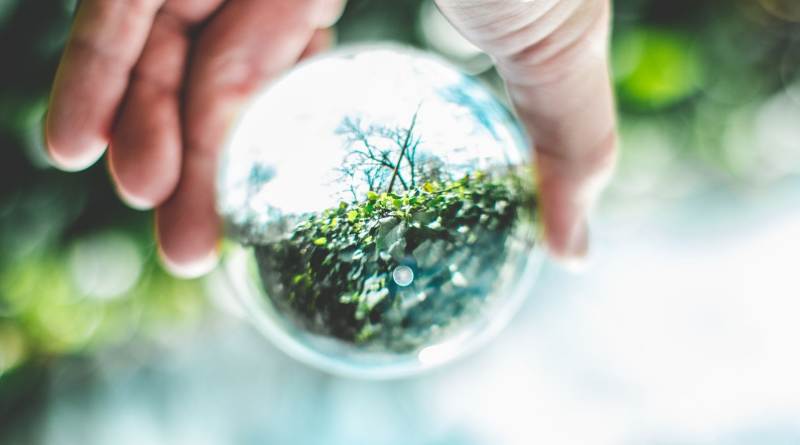 Alertan científicos sobre vacíos en Reglamento de Ley General de Economía Circular Alertan científicos sobre vacíos en Reglamento de Ley General de Economía Circular