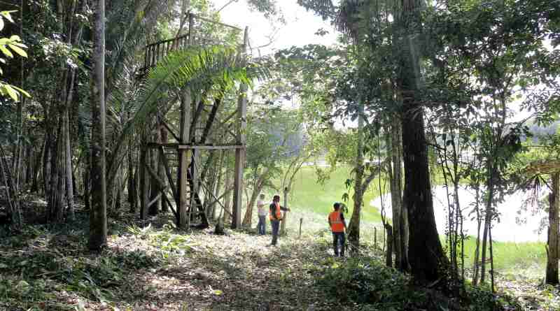 Celebra CONAFOR 25 años con la Feria Nacional Forestal 2026 Celebra CONAFOR 25 años con la Feria Nacional Forestal 2026