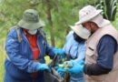 Recolecta el sector ambiental seis toneladas de residuos sólidos en el Río Tula