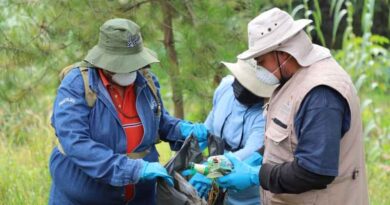 Recolecta el sector ambiental seis toneladas de residuos sólidos en el Río Tula