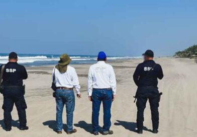 Despliega la Profepa operativo en 15 estados para blindar ecosistemas costeros Despliega la Profepa operativo en 15 estados para blindar ecosistemas costeros
