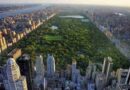 Analiza ONU la estrategia de mitigación climática de Central Park Conservancy