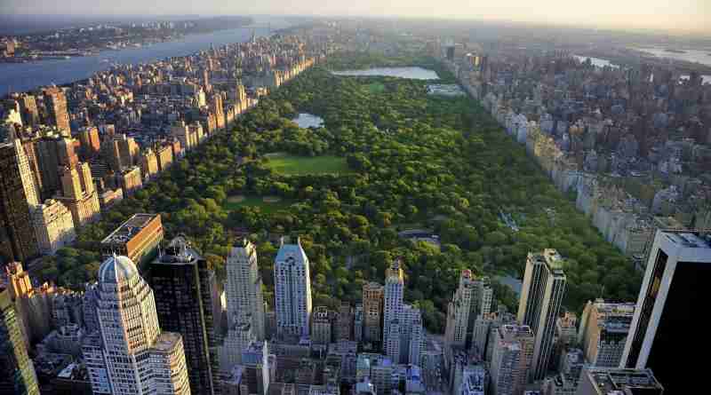 Analiza ONU la estrategia de mitigación climática en Central Park